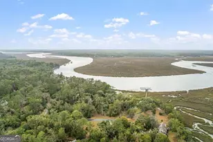 1045 River Club Road NE, Townsend, GA 31331 - Photo 80