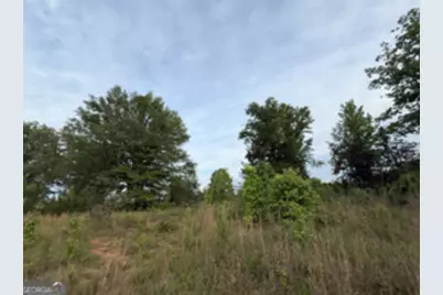 1 Lithonia Church Road, Norwood, GA 30821 - Photo 20