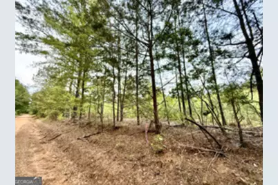 1 Lithonia Church Road, Norwood, GA 30821 - Photo 42