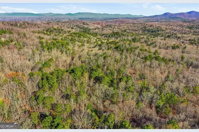 783 Bernhardt Road, Ellijay, GA 30536 - Photo 8