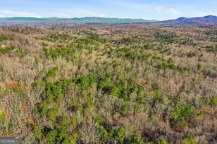 783 Bernhardt Rd, Ellijay, GA 30536 - Photo 8