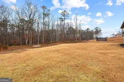 237 Sagebrook Lane, Newnan, GA 30263 - Photo 54