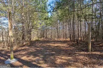 202 Kent Rock Road #TRACT 4, Loganville, GA 30052 - Photo 2