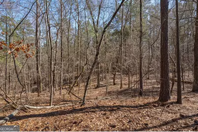 202 Kent Rock Road #TRACT 4, Loganville, GA 30052 - Photo 4