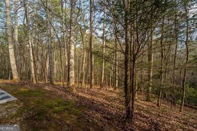 1546 Woodbrier, Sautee Nacoochee, GA 30571 - Photo 36