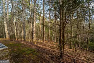 1546 Woodbrier, Sautee Nacoochee, GA 30571 - Photo 36