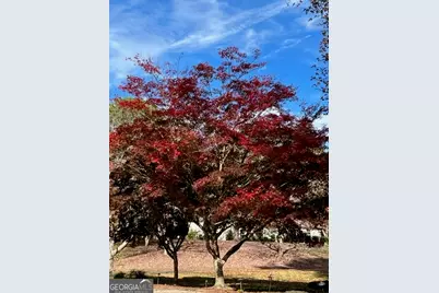 14430 Wyndham Farms Drive, Milton, GA 30004 - Photo 50