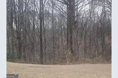 0 Nellie Brook Drive, Mableton, GA 30126 - Photo 4