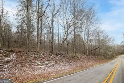 740 Broad River Church Rd Tract A, Eastanollee, GA 30538 - Photo 6