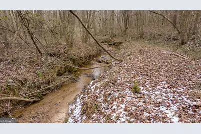 740 Broad River Church Rd Tract A, Eastanollee, GA 30538 - Photo 2