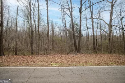 740 Broad River Church Rd Tract B, Eastanollee, GA 30538 - Photo 2