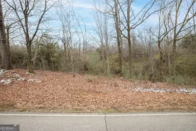 740 Broad River Church Rd Tract C, Eastanollee, GA 30538 - Photo 2