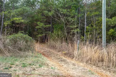 740 Broad River Church Rd Tract F, Eastanollee, GA 30538 - Photo 2