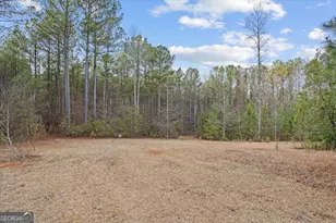 5862 Ga Hwy 219, Franklin, GA 30217 - Photo 10