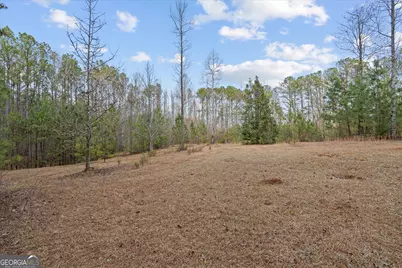 5862 Ga Highway 219, Franklin, GA 30217 - Photo 8