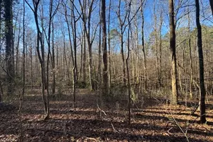 2581 Union Church Road SW, Stockbridge, GA 30281 - Photo 1