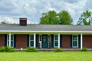 201 Burketts Ferry Rd, Hazlehurst, GA 31539 - Photo 4
