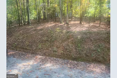 0 Pelican Drive, Ellijay, GA 30540 - Photo 4