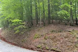 0 Pelican Dr, Ellijay, GA 30540 - Photo 1