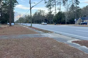 251 N McDonald St, Ludowici, GA 31316 - Photo 20