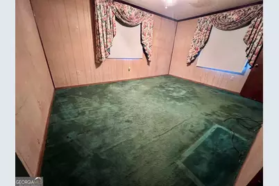 251 N McDonald Street, Ludowici, GA 31316 - Photo 8