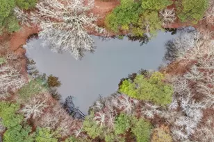 1330 Dunn Rd, Molena, GA 30258 - Photo 48