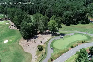 80 Mountain Mint Dr, Big Canoe, GA 30143 - Photo 22