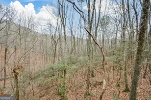 80 Mountain Mint Dr, Big Canoe, GA 30143 - Photo 4