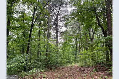 198 Log Round Mountain Trail, Ellijay, GA 30540 - Photo 1