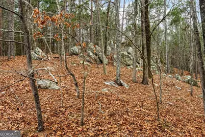 251 Winding River Road, Eatonton, GA 31024 - Photo 8