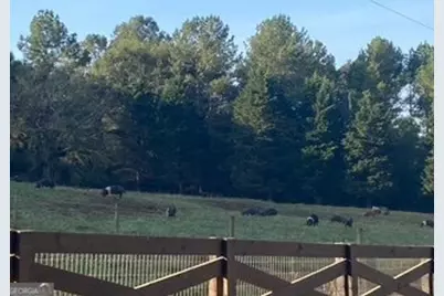 919 Arnold Bottoms Road, Comer, GA 30629 - Photo 8