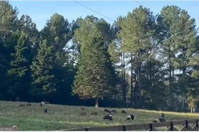 919 Arnold Bottoms Road, Comer, GA 30629 - Photo 10