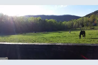 98 Canyon Pass, Cleveland, GA 30528 - Photo 32