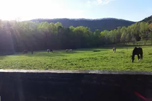 98 Canyon Pass, Cleveland, GA 30528 - Photo 32