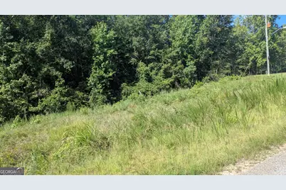 111 Chipper Lane, Sparta, GA 31087 - Photo 2