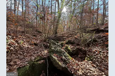 344 Mitchell Road, Maysville, GA 30558 - Photo 20