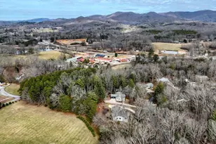970 Wesley Mountain Dr, Blairsville, GA 30512 - Photo 56