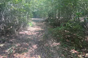 299 S L St, Pine Mountain, GA 31823 - Photo 30