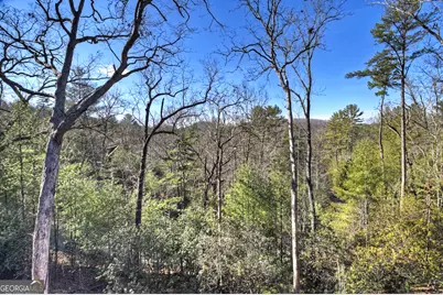 238 Hooch Holler Lane, Morganton, GA 30560 - Photo 14