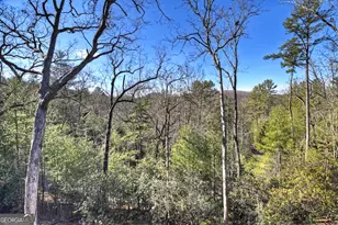 238 Hooch Holler Ln, Morganton, GA 30560 - Photo 14