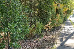 0 Atlanta St, McDonough, GA 30253 - Photo 1