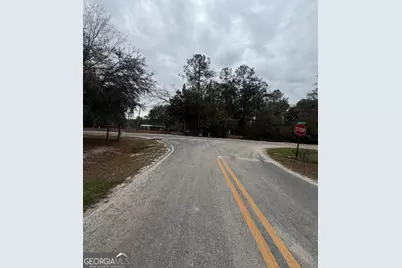 745 St Marys River Bluff Road, Saint George, GA 31562 - Photo 2