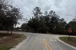 745 St Marys River Bluff Rd, Saint George, GA 31562 - Photo 2