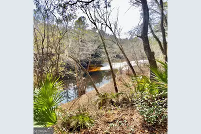 745 St Marys River Bluff Road, Saint George, GA 31562 - Photo 28