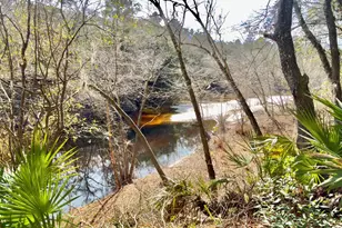 745 St Marys River Bluff Rd, Saint George, GA 31562 - Photo 28