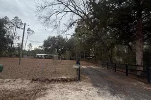 745 St Marys River Bluff Rd, Saint George, GA 31562 - Photo 4