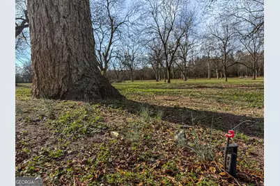 0 Old Hwy 19 South, Ellaville, GA 31806 - Photo 10