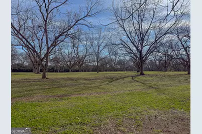 0 Old Hwy 19 South, Ellaville, GA 31806 - Photo 4