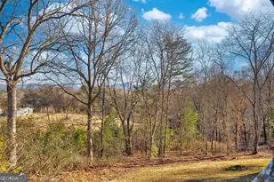 716 Lakeview Cir, Morganton, GA 30560 - Photo 46