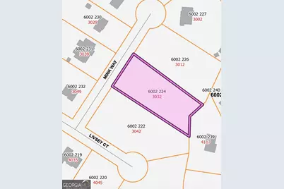 3032 Mink Way, Snellville, GA 30039 - Photo 2